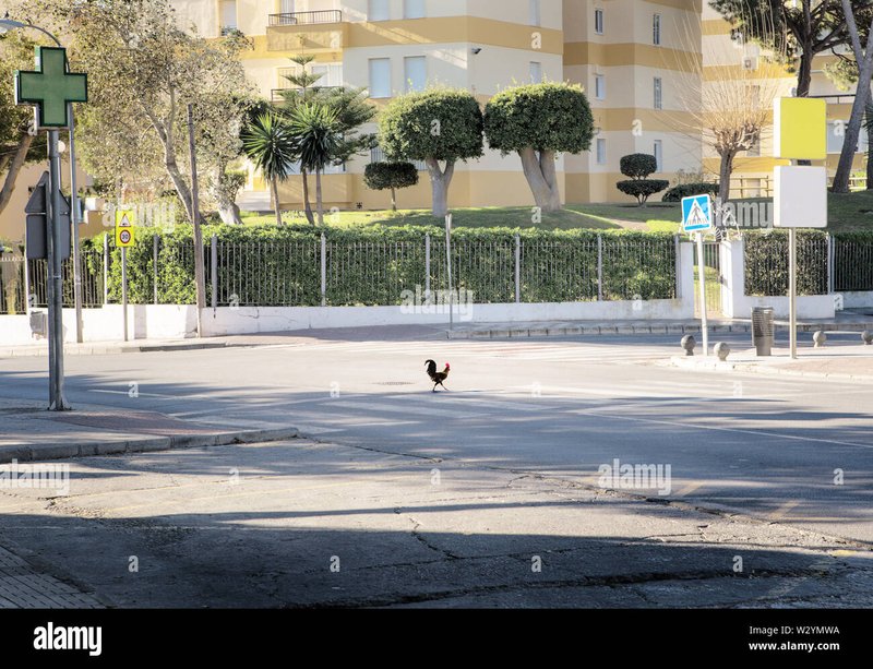 Spain - chicken road casino